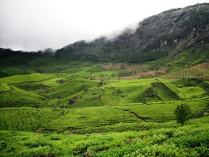 Devikulam Hill Station Munnar