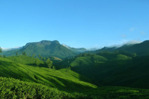 Best Places to Visit in Munnar