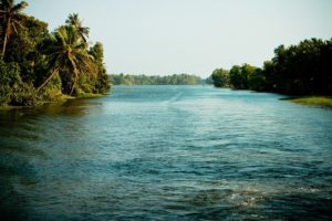 Kerala Backwaters
