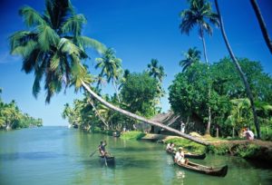 Backwaters in Kerala