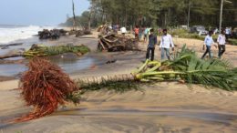 Eight houses damaged as high tide floods kanyakumari villages
