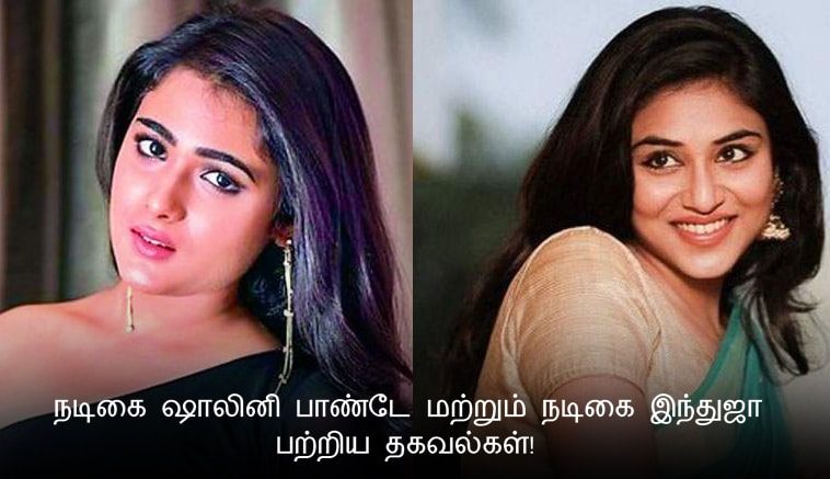Information about actress Shalini Pandey and actress Indhuja