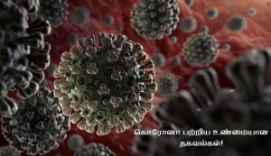 Information About Coronavirus